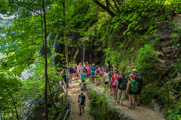 Zahlreiche Menschen wandern durch den Wald auf einem Wanderweg