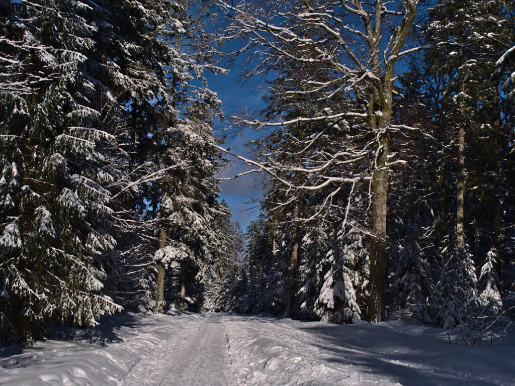 Kniebis ist ein Ortsteil von Freudenstadt im nördlichen Schwarzwald und bekannt als Wintersport- und Erholungsgebiet. Mit seinen gut präparierten Loipen und Wanderwegen bietet Kniebis ideale Bedingungen für Ski-Langlauf und andere Outdoor-Aktivitäten inmitten der malerischen Schwarzwaldlandschaft.