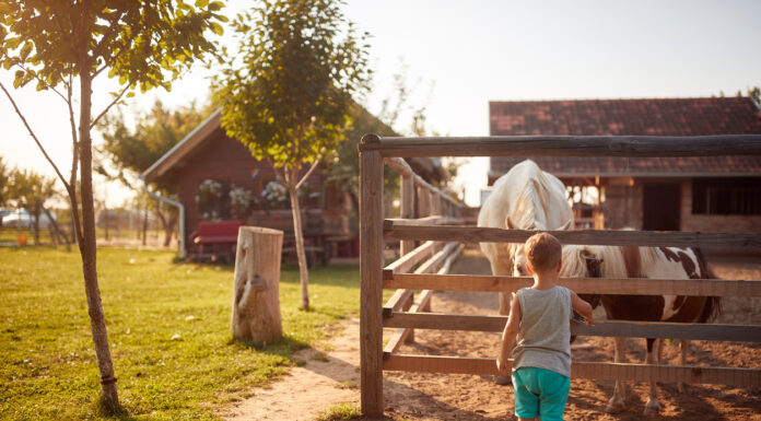 Ein Urlaub auf dem Ponyhof bietet Familien die Möglichkeit, inmitten der Natur zu entspannen und gleichzeitig den Kindern ein unvergessliches Erlebnis mit Ponys zu ermöglichen. Viele Ponyhöfe bieten gemütliche Übernachtungsmöglichkeiten an und sorgen für das leibliche Wohl der Gäste, während die Kinder die Freude am Reiten und den Umgang mit den Tieren entdecken können.
