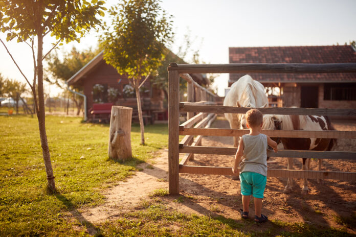 Ein Urlaub auf dem Ponyhof bietet Familien die Möglichkeit, inmitten der Natur zu entspannen und gleichzeitig den Kindern ein unvergessliches Erlebnis mit Ponys zu ermöglichen. Viele Ponyhöfe bieten gemütliche Übernachtungsmöglichkeiten an und sorgen für das leibliche Wohl der Gäste, während die Kinder die Freude am Reiten und den Umgang mit den Tieren entdecken können.