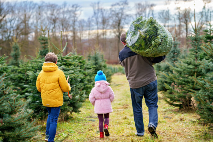 Vater mit seinen Kindern beim Weihnachtsbaum-Kauf.
