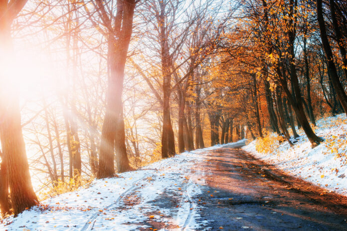 Waldweg mit leichtem Schnee und Sonnenschein