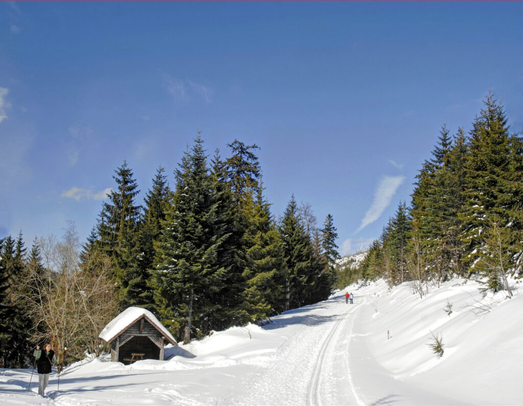 Ski-Langlauf ist eine Wintersportart, bei der die Teilnehmer auf schmalen Skiern gleiten und sich mit speziellen Stöcken abstoßen, um sich auf verschneiten Landschaften fortzubewegen. Es ist sowohl eine Form der Erholung als auch ein Wettkampfsport und wird in zwei Haupttechniken unterteilt: dem klassischen Stil und dem Skating-Stil.