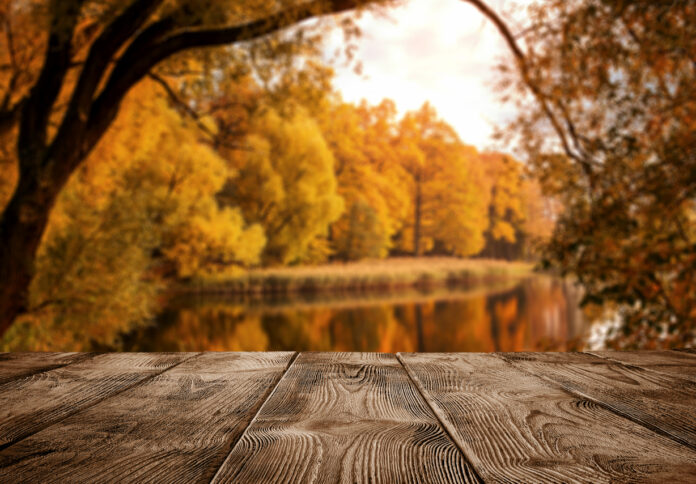 Der Ausblick von einem Tisch mit einer Holzplatte auf den Wald und einen See im Herbst.