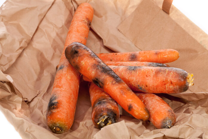 Las primeras familias todavía comen zanahorias con manchas negras