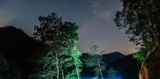 Ein Mann mit einer Kopflampe durchquert einen Wald mitten in der Nacht