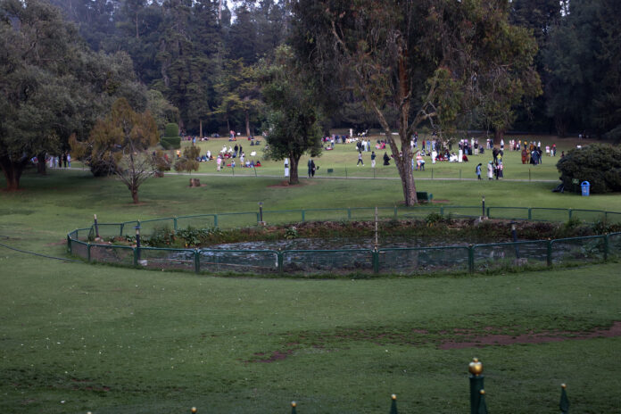Der botanische Garten und eine Parkanlage. Dort befinden sich im Hintergrund Menschen