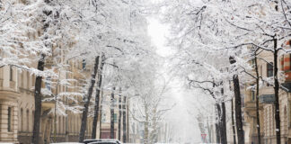 Eine zugeschneite Straße mit Bäumen und Autos.