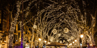 Beleuchtete Bäume und Weihnachtslichter in der Vorweihnachtszeit in der Stadt