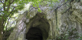 Der Eingang einer Höhle im Wald