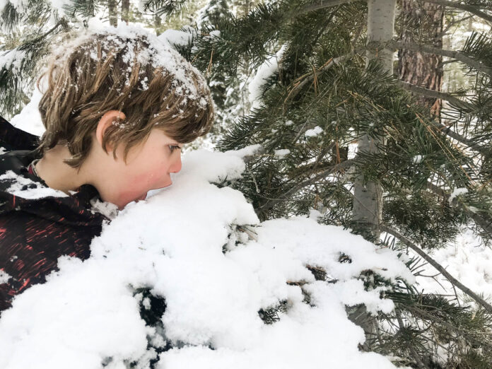 Ein kleiner Junge beißt in frischen Schnee.