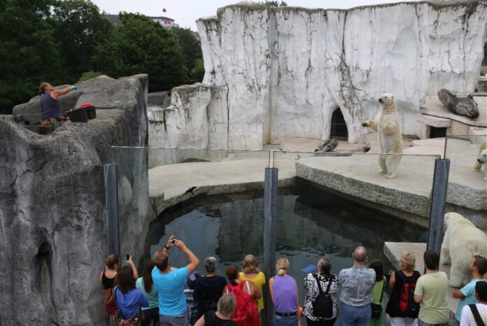 Viele Menschen stehen vor dem Tiergehege des Eisbären im Karlsruher Zoo und machen Fotos