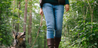 Eine Frau geht mit ihrem Hund im Wald Gassi.