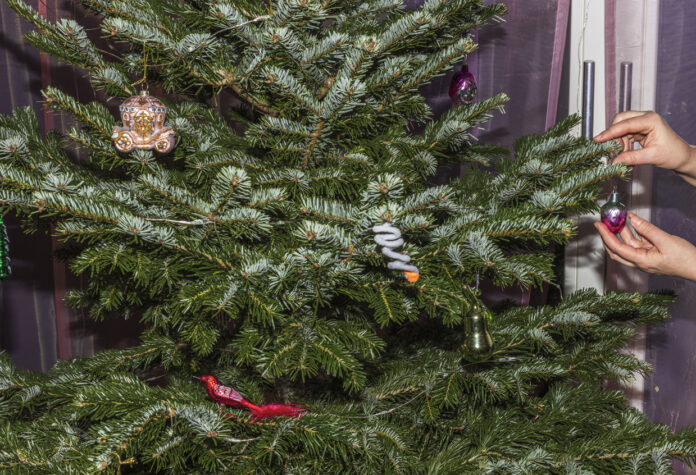 Ein Weihnachtsbaum wird abgeschmückt.