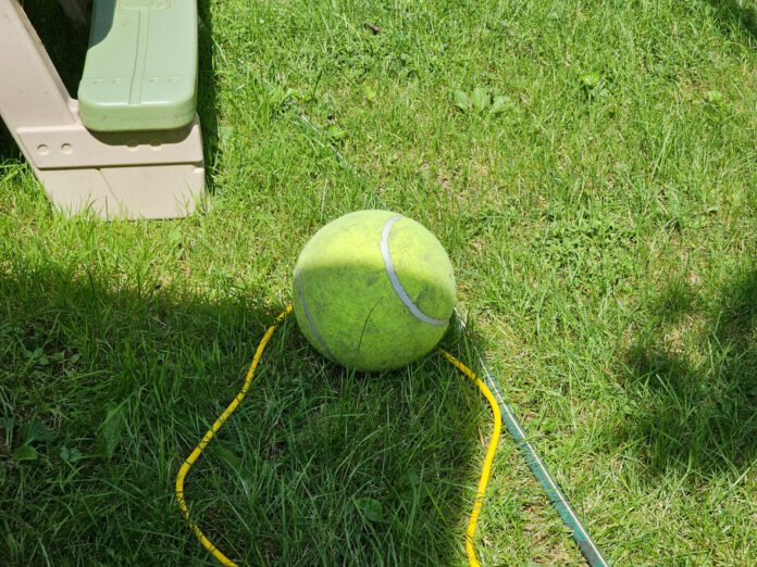 Ein Tennisball liegt im Garten auf dem Rasen