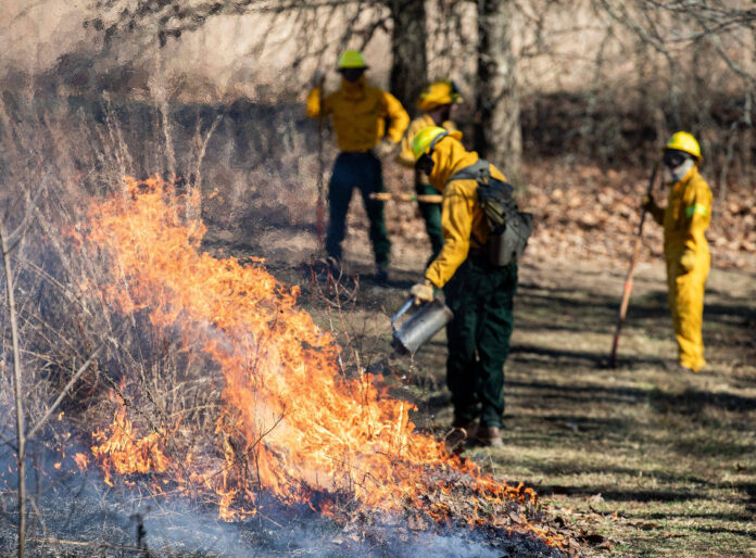 Feuerwehrleute bekämpfen einen Waldbrand.