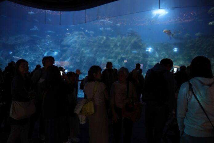 Viele Besucher stehen vor einem großen Meereswasser Aquarium und beobachten die Meeresbewohner und Fischer