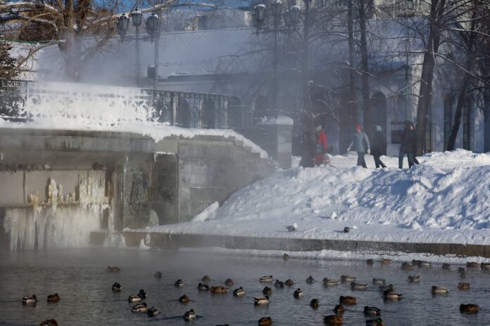 Ein Gewässer oder ein Karlsruher See im Winter, alles ist gefroren und Menschen stehen im Schnee und blicken auf die Vögel im Wasser