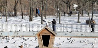 Menschen sind im Park im Winter unterwegs und füttern die Vögel, es liegt Schnee