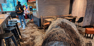 Inmitten einer McDonald's Filiale befindet sich ein Heuhaufen und jede Menge davon auf dem Boden auf dem Weg zur Theke.