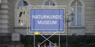 Vier Gäste sitzen unter einem großen Schild, auf dem Naturkundemuseum steht.