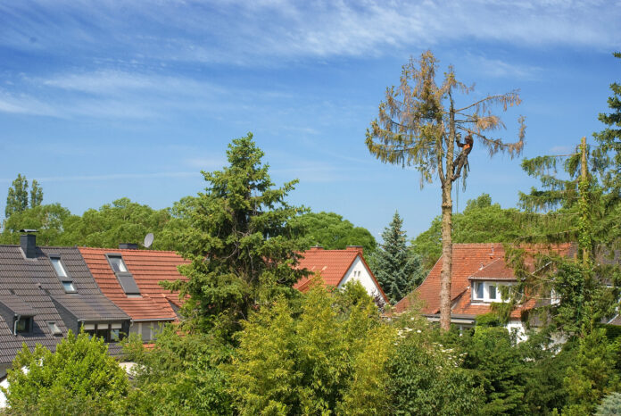 Bäume vor Grundstücken von Einfamilienhäusern.