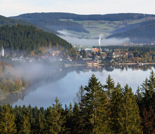Ein großer, blauer See befindet sich in Baden-Württemberg. Er liegt zwischen einem Wald, der sich fast komplett um ihn herum erstreckt. Auf der gegenüberliegenden Seite vom Wald befindet sich eine Siedlung.