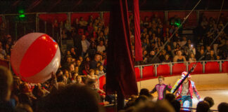 Das Publikum schaut sich in der Manege in einem Zirkus die Vorstellung von Artisten an.