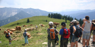 Kinder vor einer Weide mit Kühen