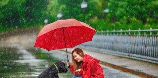 Frau mit ihrem Hund im Regenmantel und Regenschirm im Regen.