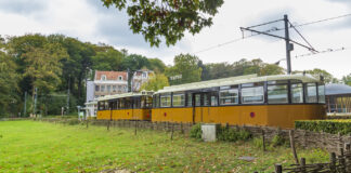 Eine alte S-Bahn steht auf dem Rasen