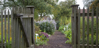 Ein Weg in den Garten. Davor sieht man ein Holztor, welches geöffnet ist. In dem Garten sind verschiedene Blumen zu sehen.