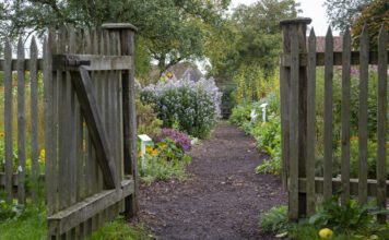 Ein Weg in den Garten. Davor sieht man ein Holztor, welches geöffnet ist. In dem Garten sind verschiedene Blumen zu sehen.