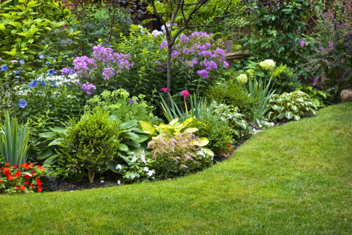 Ein Garten mit einer bunt bepflanzten Blumenecke und einem gepflegten Rasen.