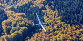 Ein Flugzeug fliegt über den Wald