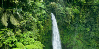 Ein Wasserfall im Regenwald