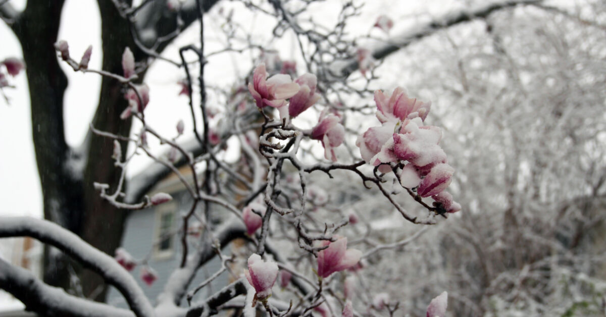 Frosttemperaturen-N-chste-K-ltewelle-kommt-nach-Deutschland