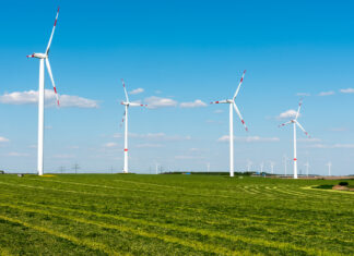 Auf einem weiten Feld stehen einige Windräder vorm blauen Himmel.