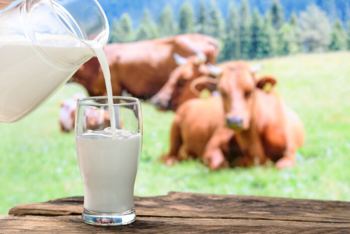 Auf einem Tisch steht ein Glas, in das aus einer Kanne Milch geschüttet wird. Im Hintergrund weiden Kühe auf einer Wiese.
