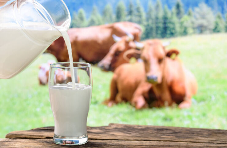 Auf einem Tisch steht ein Glas, in das aus einer Kanne Milch geschüttet wird. Im Hintergrund weiden Kühe auf einer Wiese.