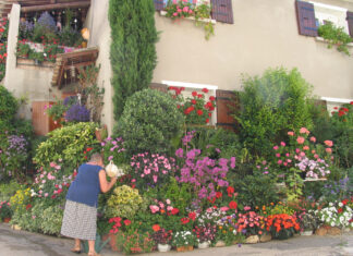 Eine alte Frau gießt Blumen im Garten