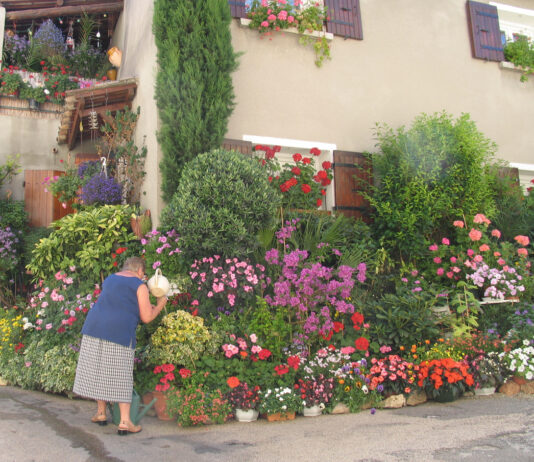 Eine alte Frau gießt Blumen im Garten