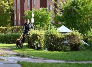 Hunde von der Polizei durchkämmen die Grünanlage einer Wohnhaussiedlung.