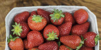 Auf einem Tisch steht eine Schale mit frischen, saftigen Erdbeeren.