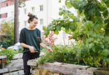 Eine glückliche junge Frau im grünen Pullover ist in der Stadt gerade bei der Gartenarbeit an einem dick und üppig bepflanztem Hochbeet mit Kräutern, Grünzeug, Gewächsen und Blumen.