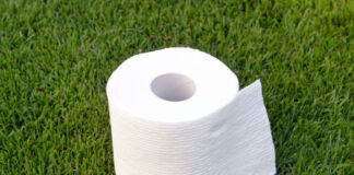 Eine weiße,mehrlagige, volle Rolle Toilettenpapier liegt auf einem saftigen, gut gepflegten und ordentlichen grünen Rasen irgendwo in einem Garten.