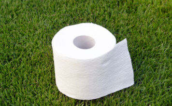 Eine weiße,mehrlagige, volle Rolle Toilettenpapier liegt auf einem saftigen, gut gepflegten und ordentlichen grünen Rasen irgendwo in einem Garten.