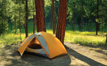 Ein mittelgroßes, gelbes Campingzelt steht am Tag auf einer hellen Lichtung mitten im Wald neben ein paar Bäumen an einer Wiese.