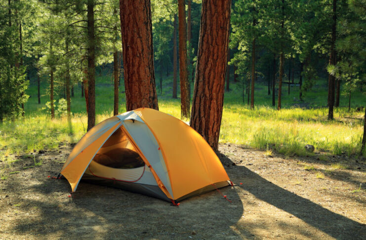 Ein mittelgroßes, gelbes Campingzelt steht am Tag auf einer hellen Lichtung mitten im Wald neben ein paar Bäumen an einer Wiese.