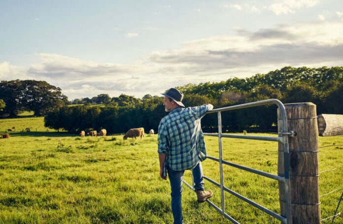 Ein Bauer mit Hut auf einer Weide lehnt am Eisentor. Im Hintergrund fressen mehrere Rinder Gras der grünen Weidenfläche unter leicht bewölktem Himmel.